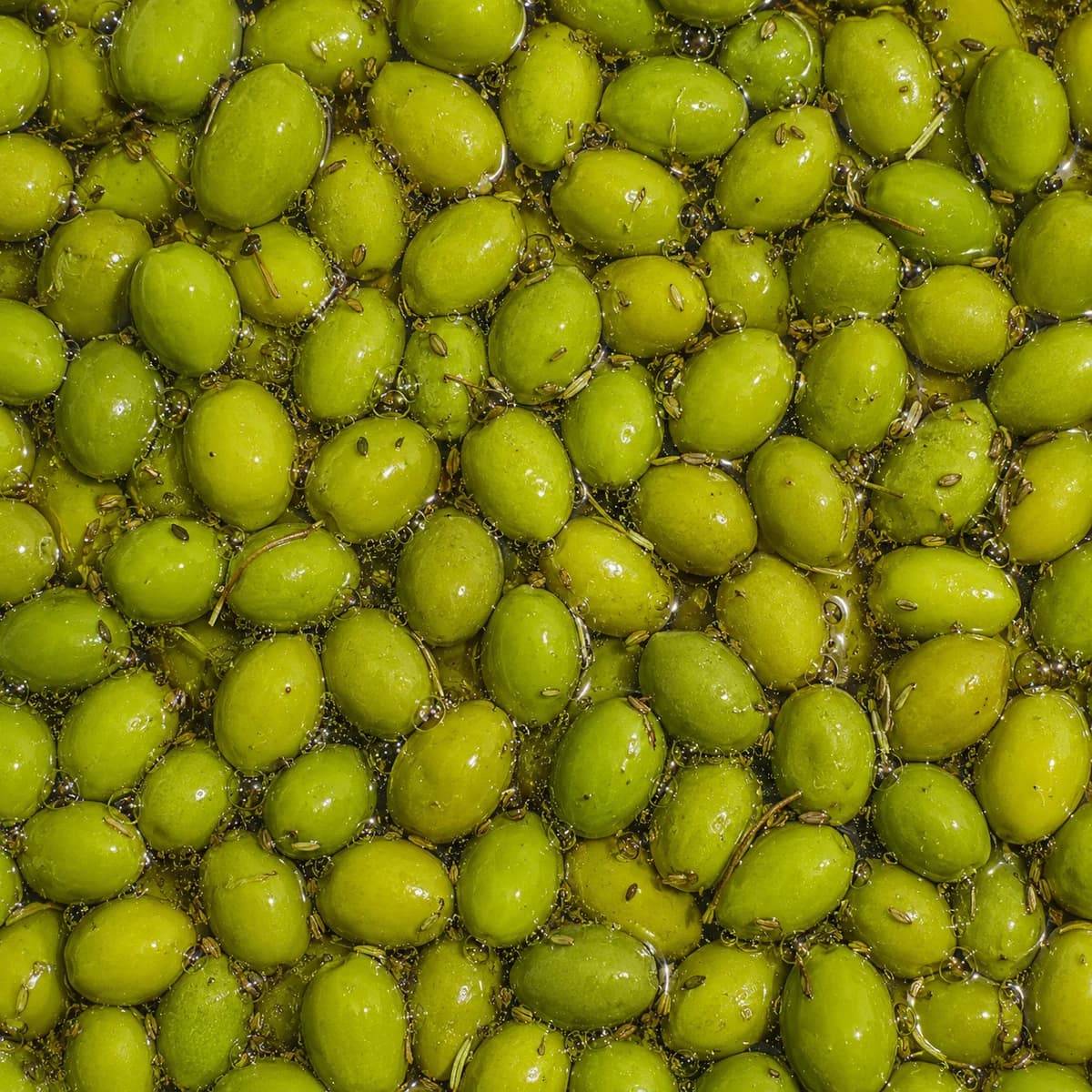 Olives Picholine de Provence